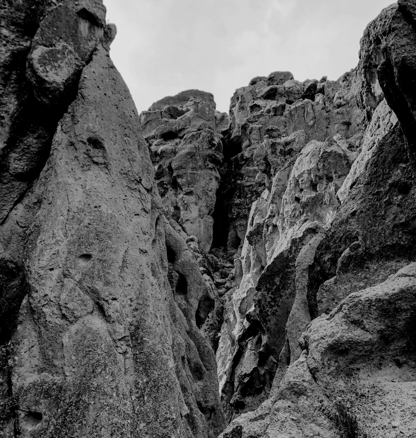 Acting for both purchasers